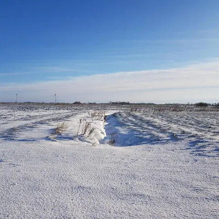 아파트 Poseidon 뉴할링거지어