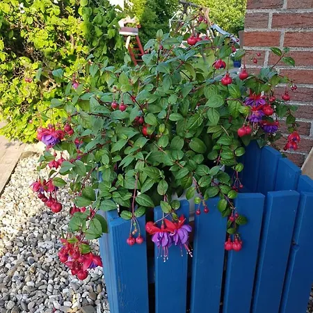 Poseidon 뉴할링거지어